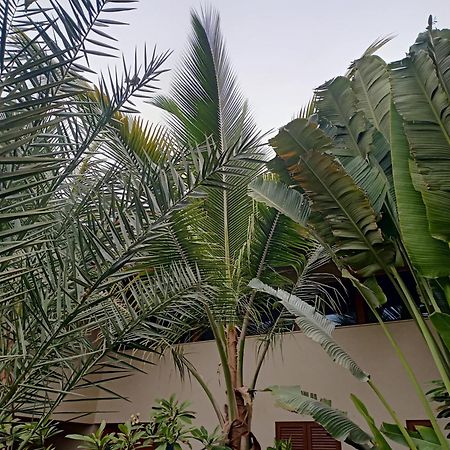 Casa Das Buganvilias Πράγια Εξωτερικό φωτογραφία