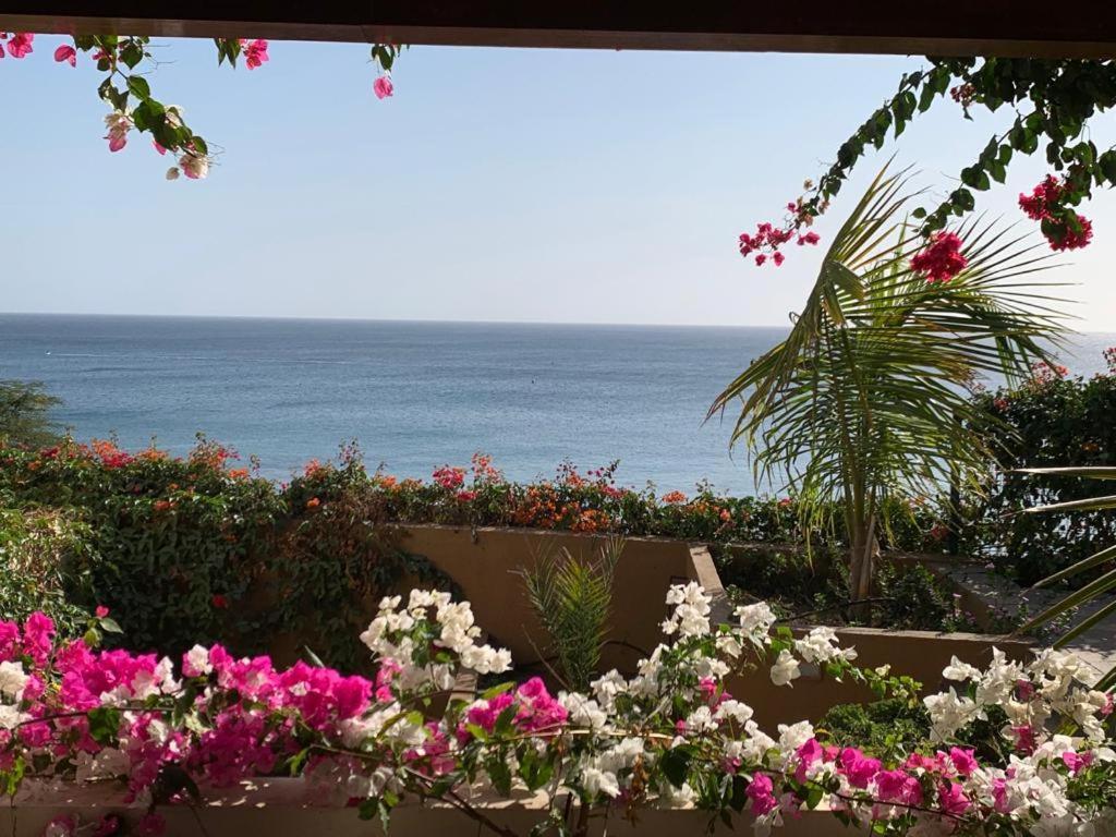 Casa Das Buganvilias Πράγια Εξωτερικό φωτογραφία