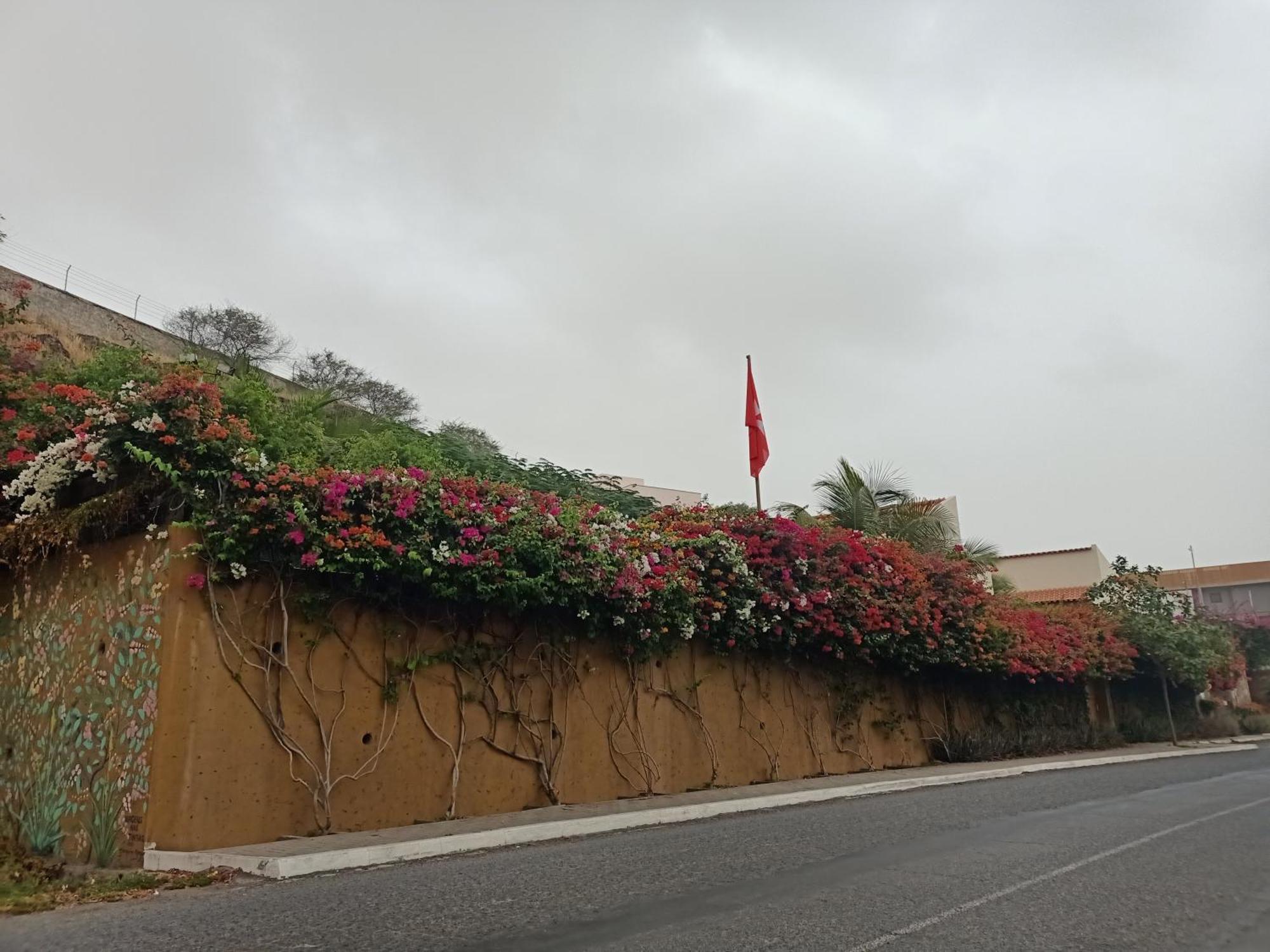 Casa Das Buganvilias Πράγια Εξωτερικό φωτογραφία